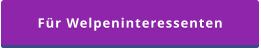 Für Welpeninteressenten